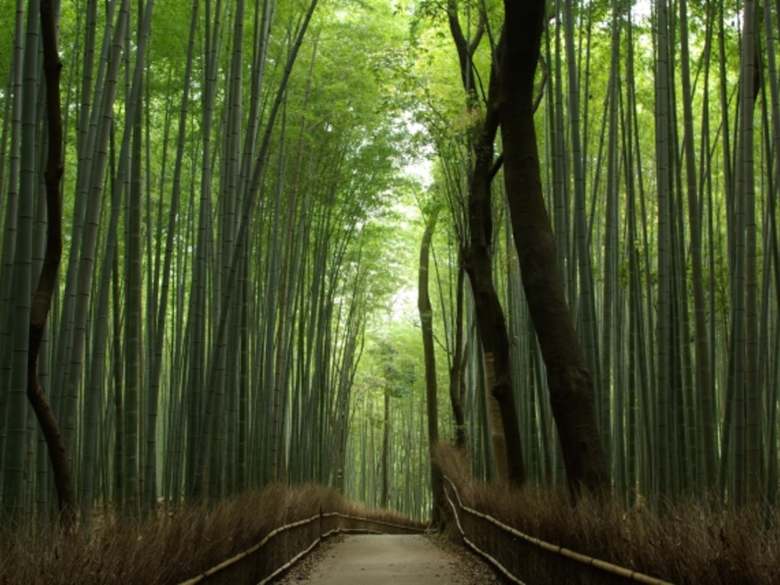 GWの営業について