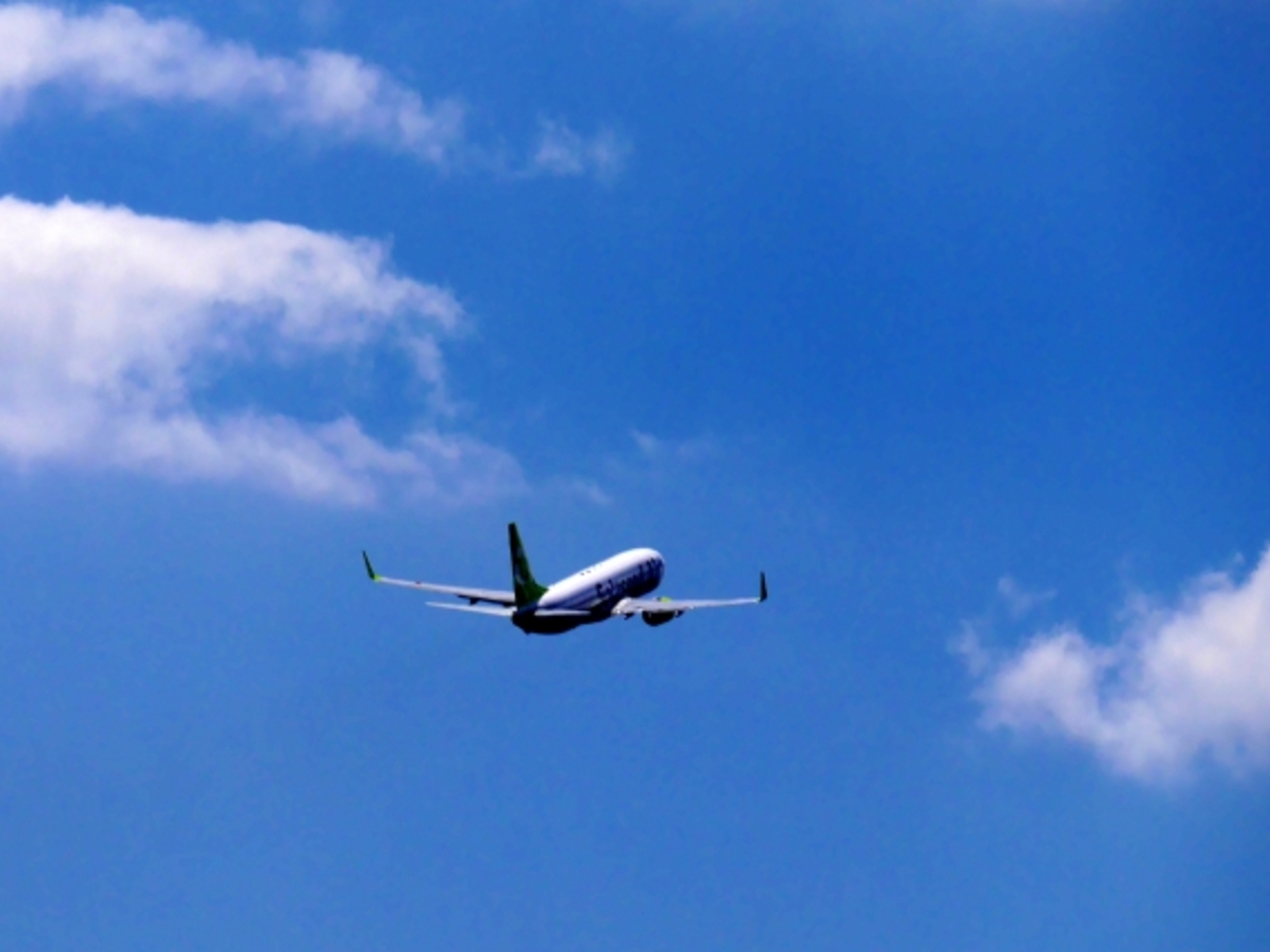 お盆は休まず営業します