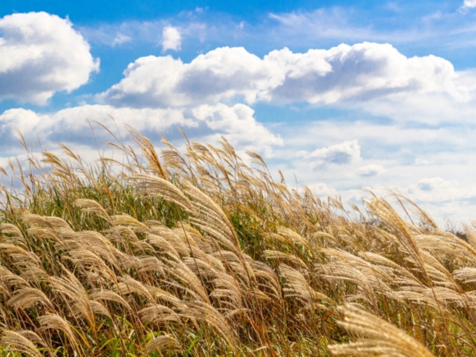 9月に入りました