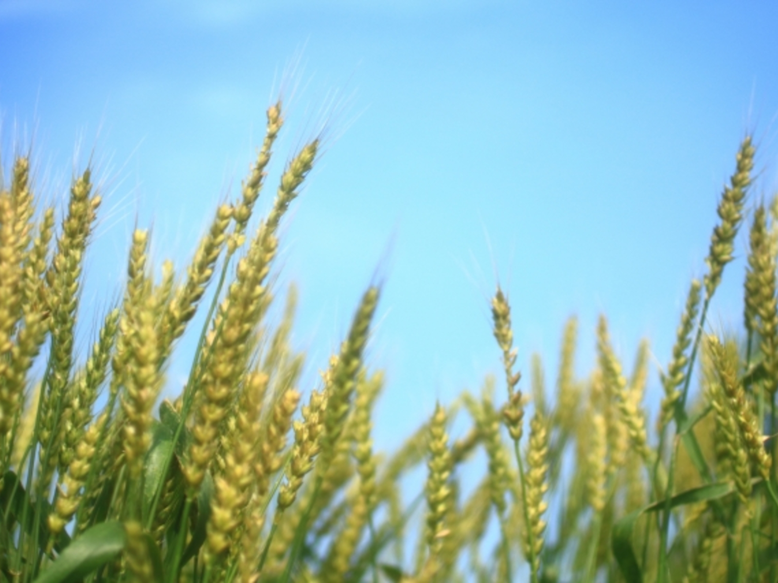 3月に入りました