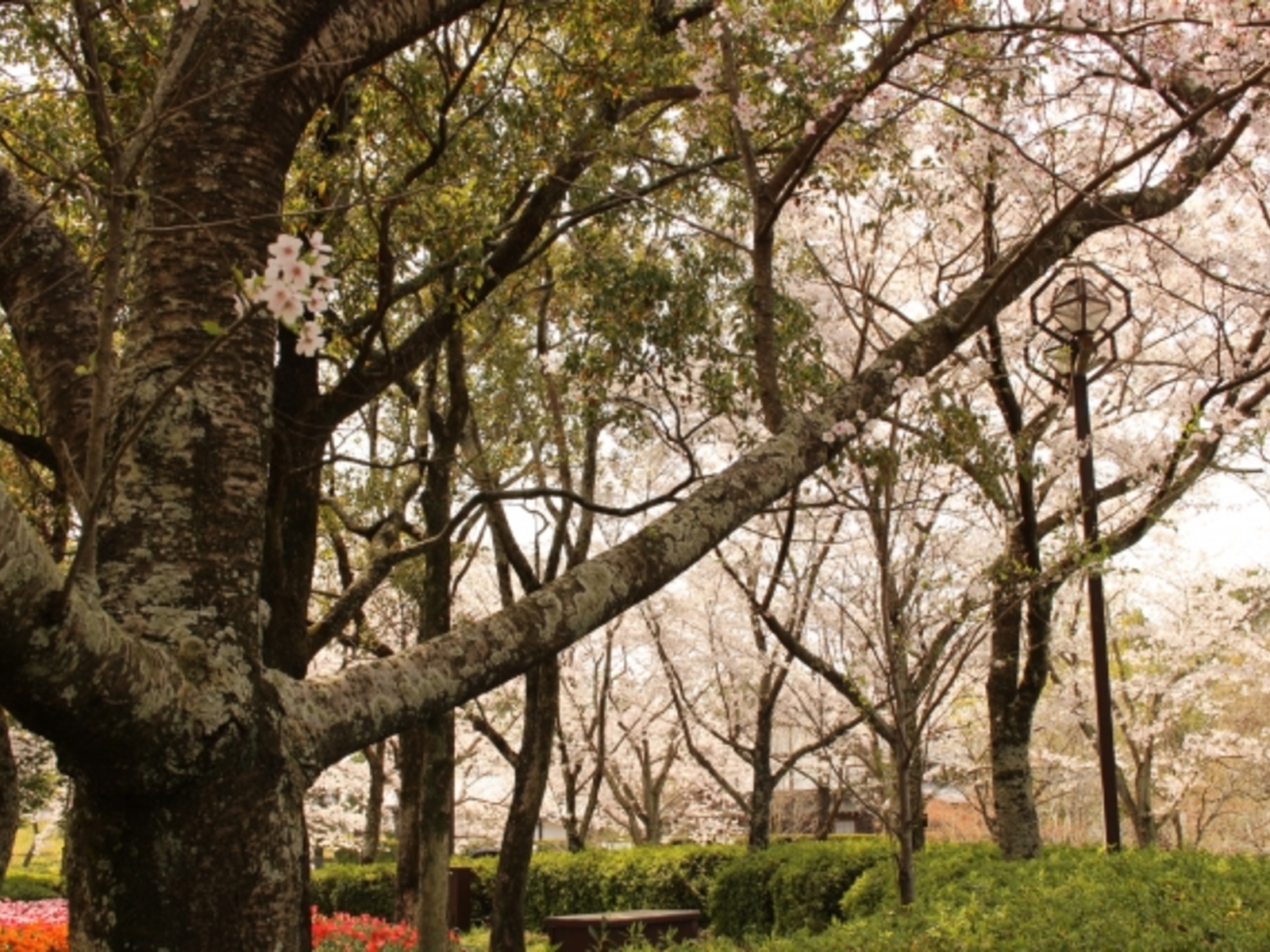 5月8日(金)より営業再開させて頂きます。