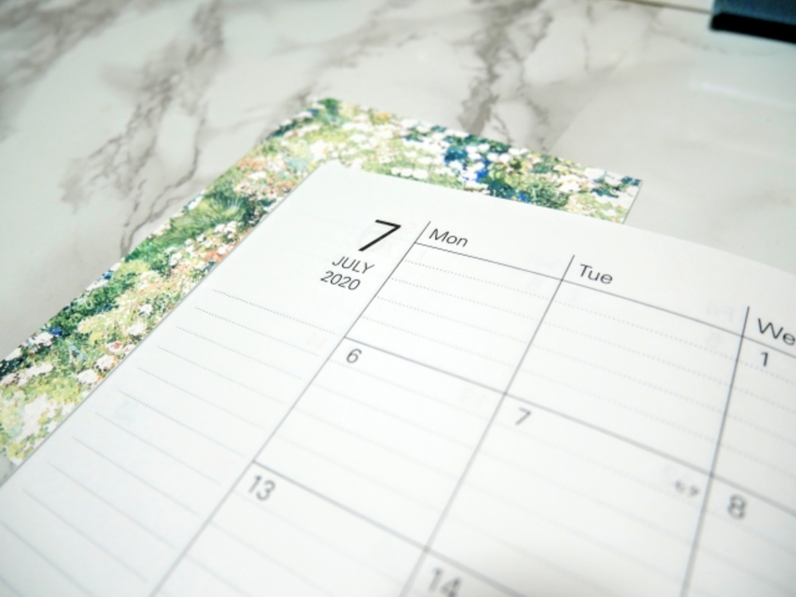 7月に入りました