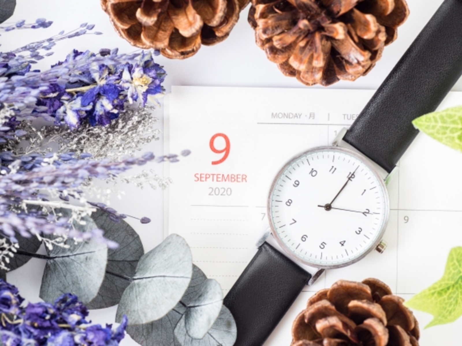 9月に入りました