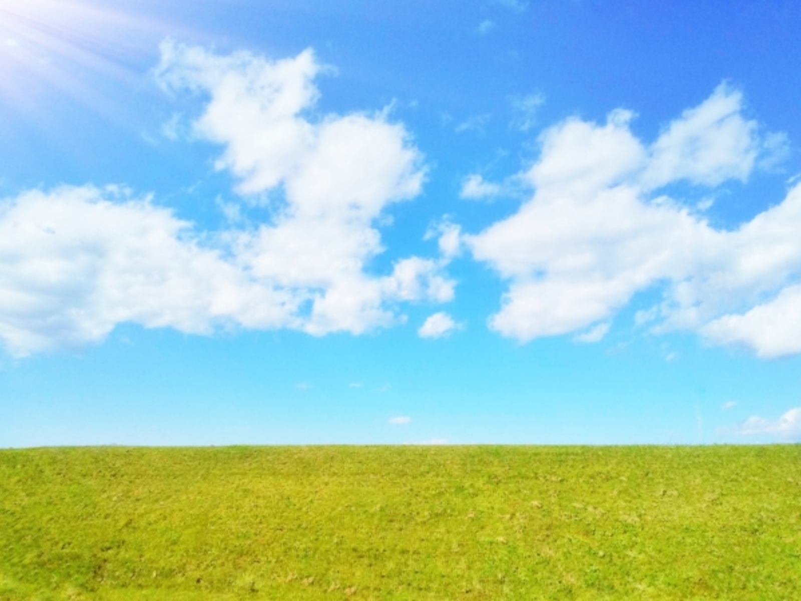 3月に入りました