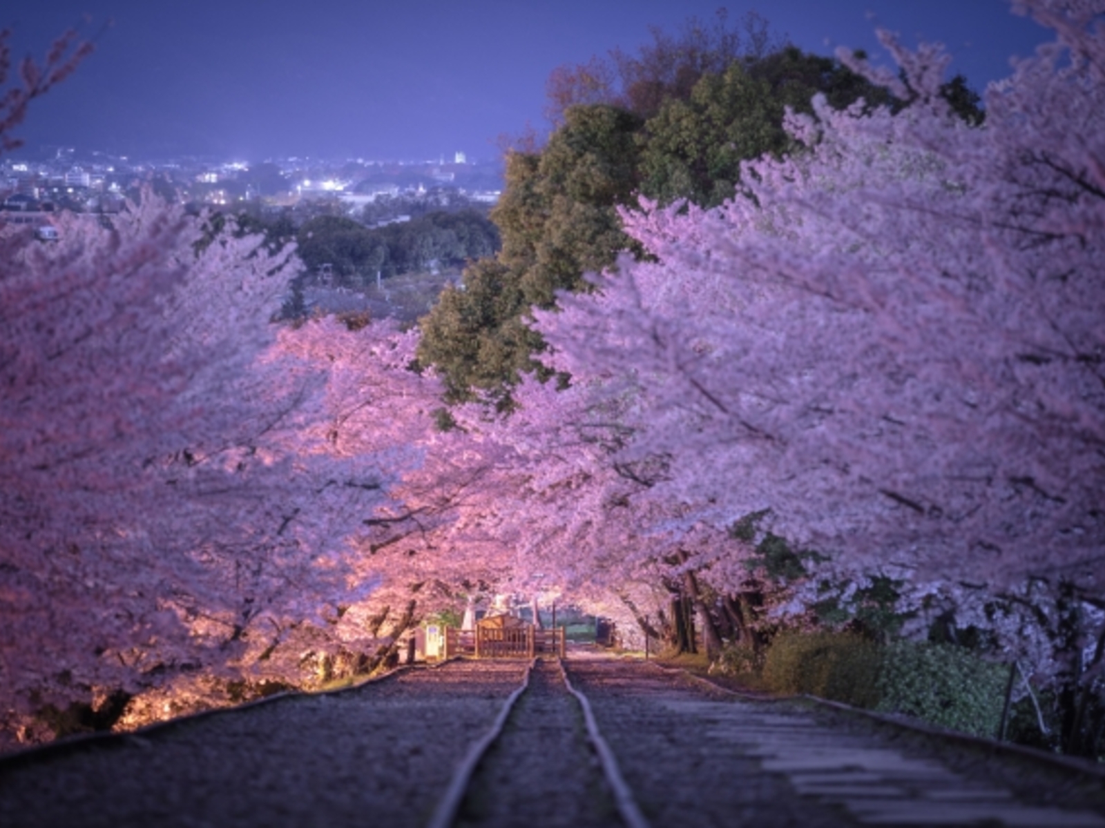 4月に入りました