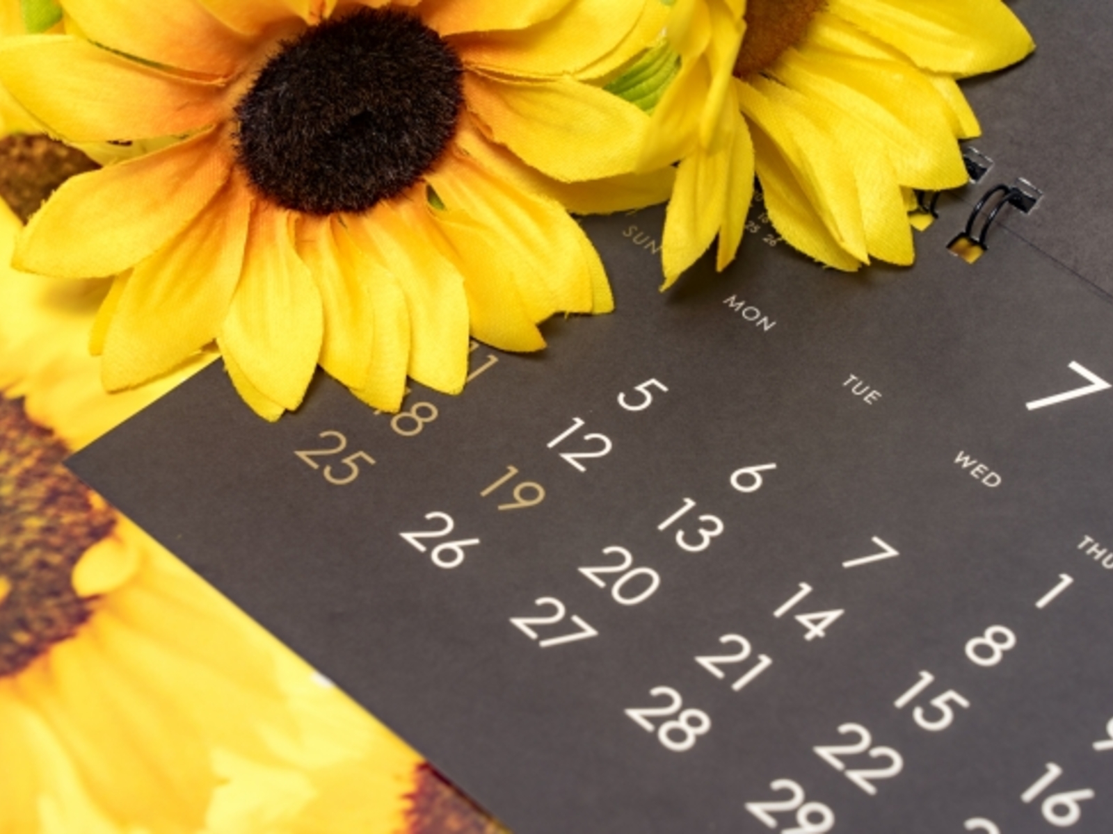 7月に入りました