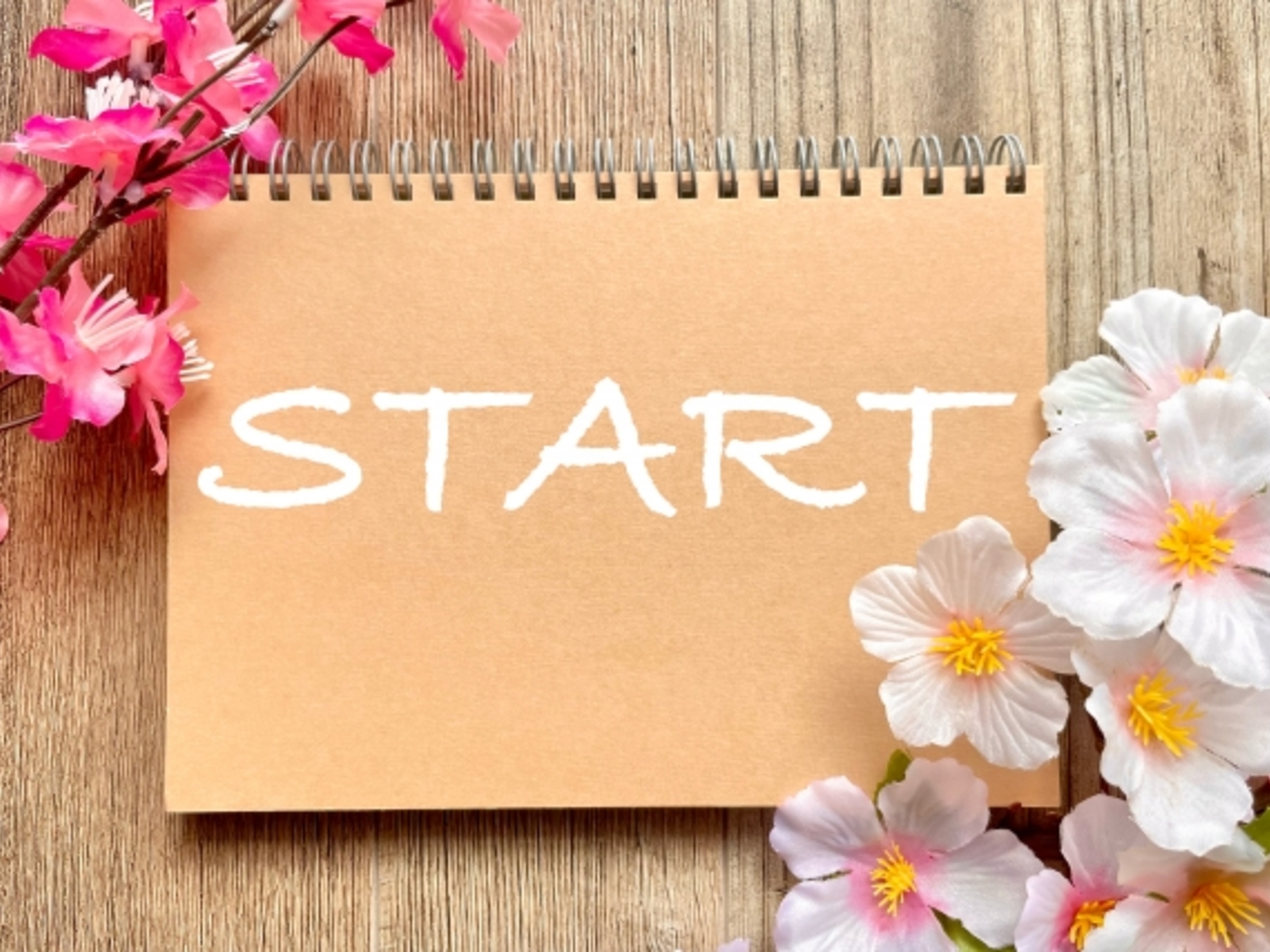 4月に入りました