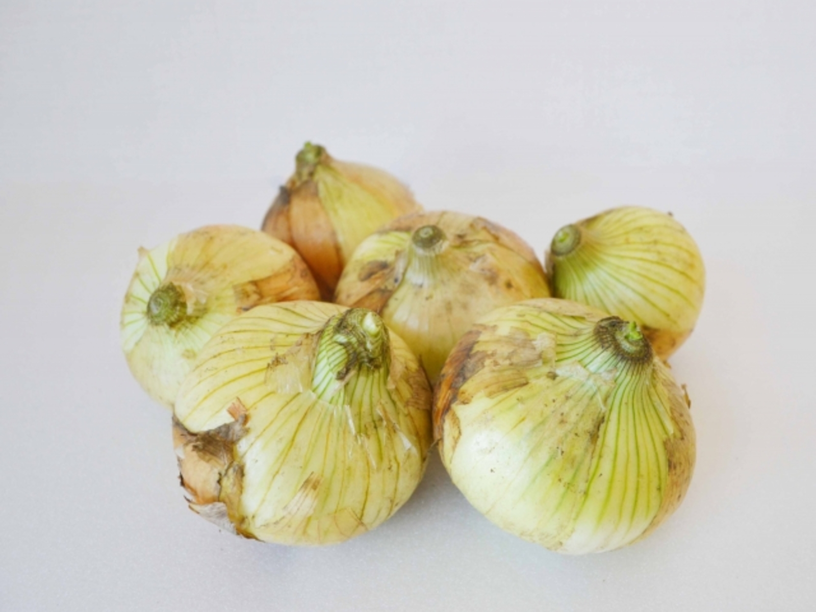 5月に入りました