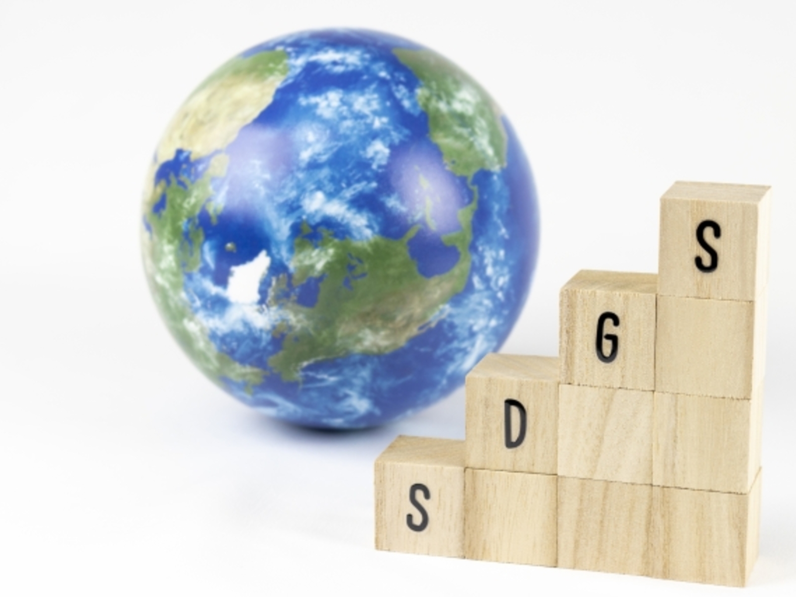 7月に入りました