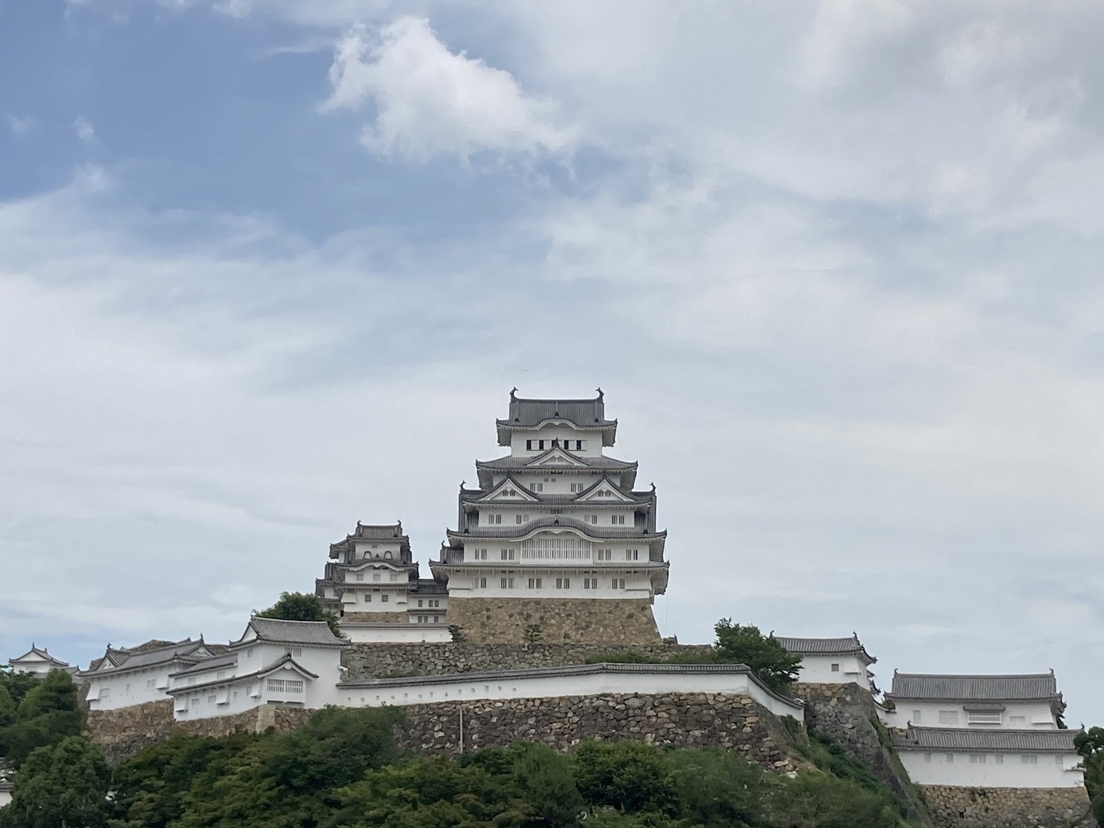 7月に入りました