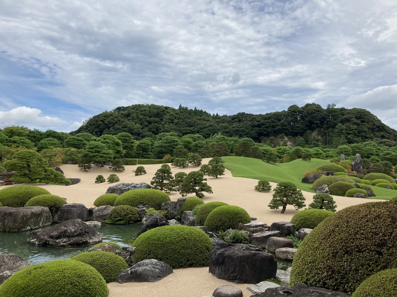 8月に入りました