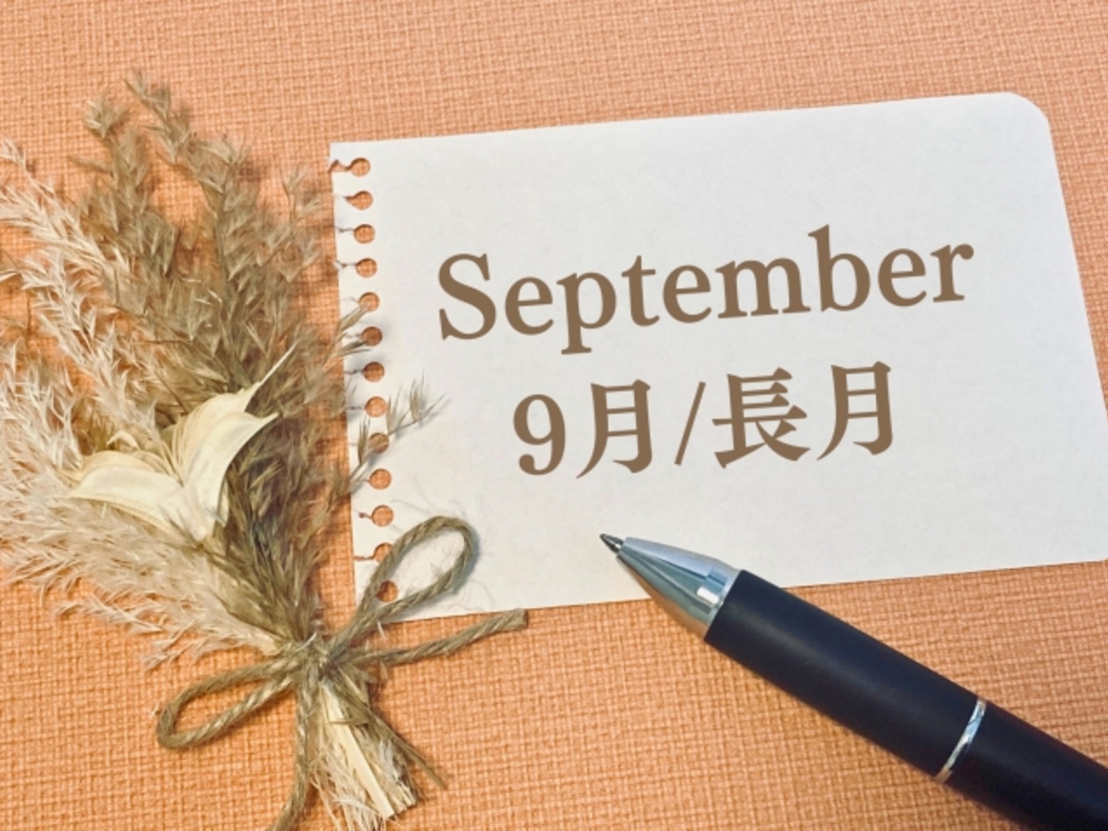 9月に入りました