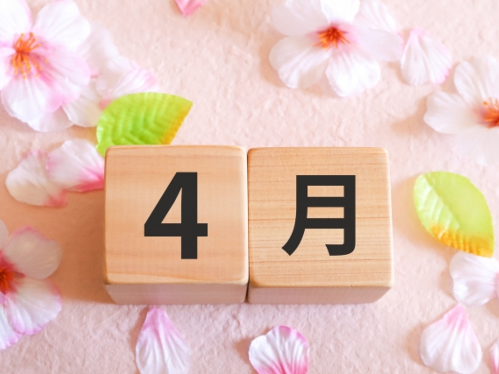 4月に入りました