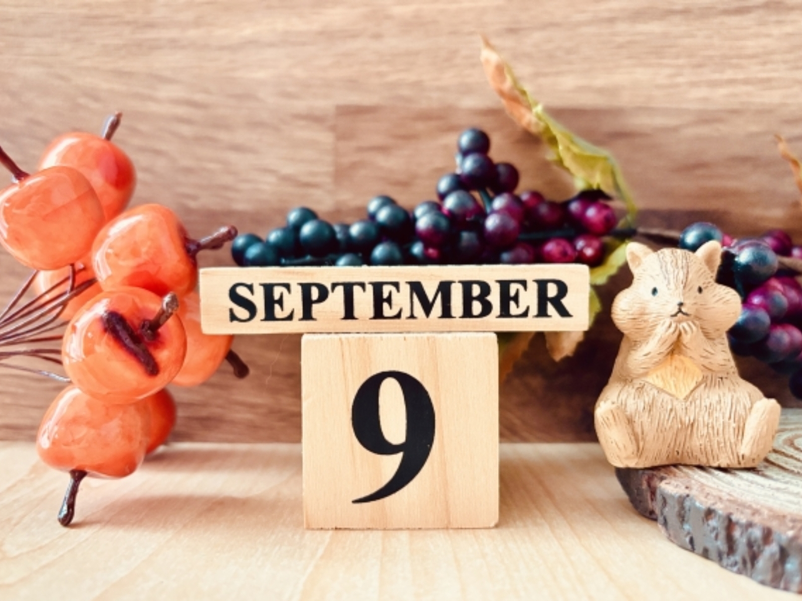 9月に入りました
