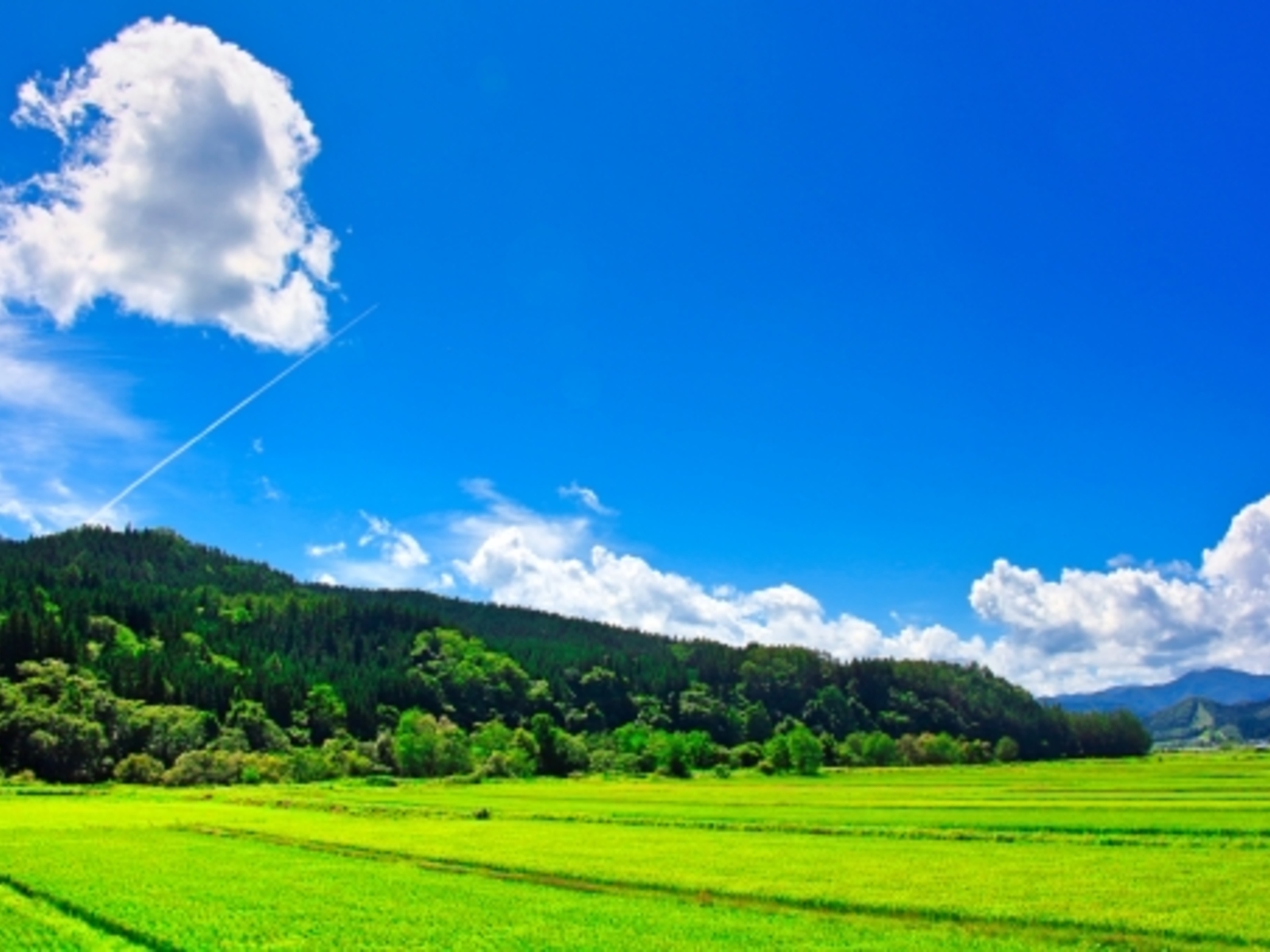 8月も終盤ですね