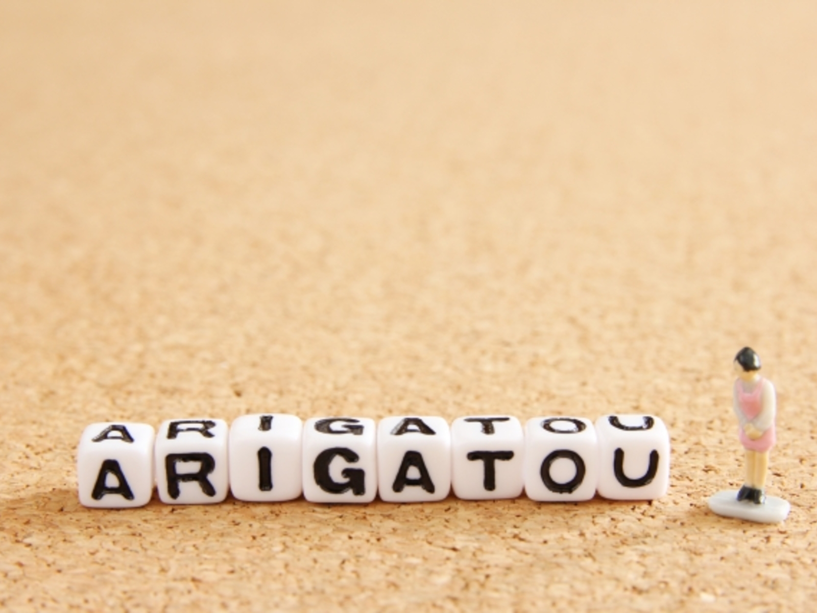 今年一年、ありがとうございました。