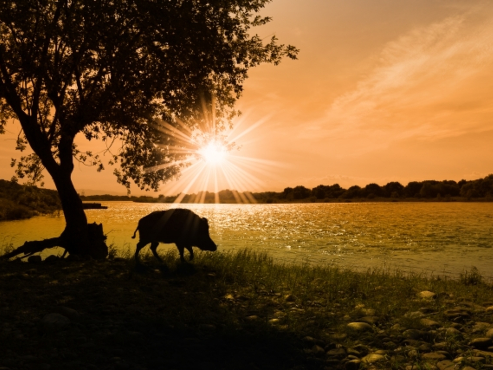 あけましておめでとうございます。