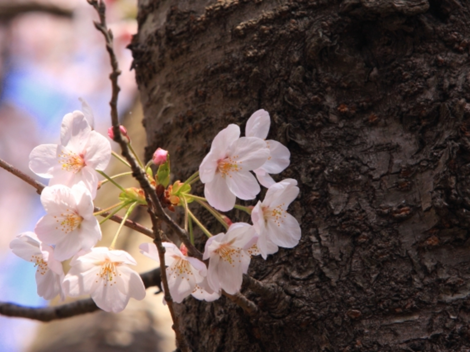 今年度もあと10日となりました