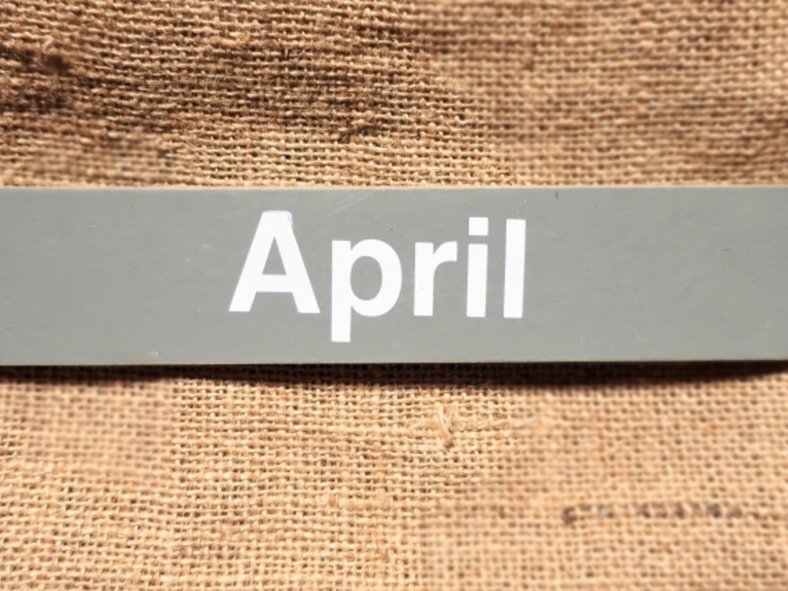 4月に入りました　　~令和~