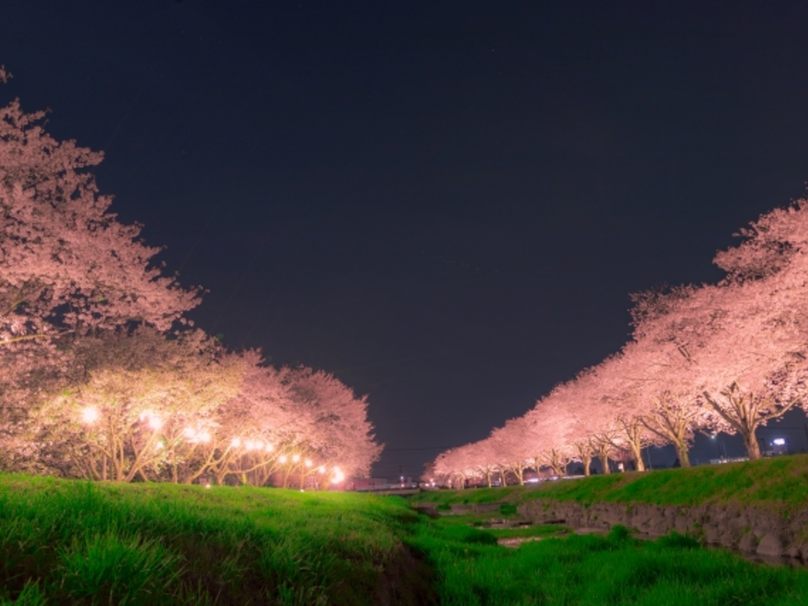 東南アジアがさらに近くなりました